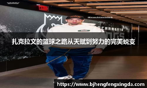 bsport体育